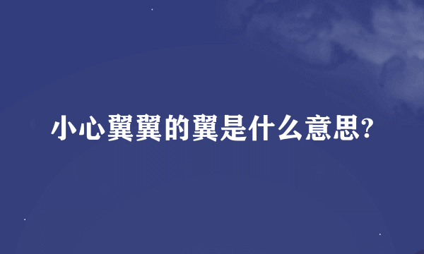 小心翼翼的翼是什么意思?