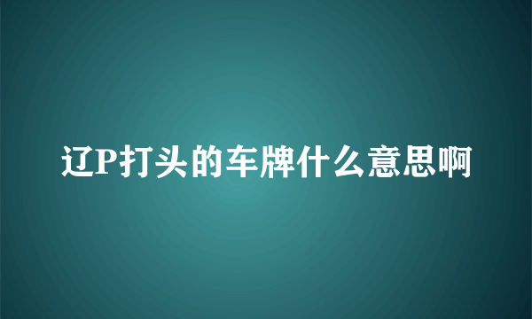 辽P打头的车牌什么意思啊