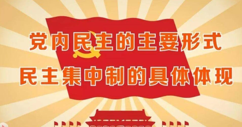 民主集中制基本原则是什么?