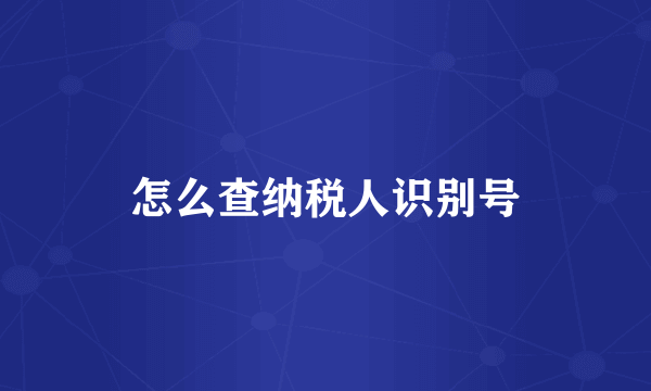 怎么查纳税人识别号