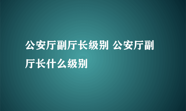 公安厅副厅长级别 公安厅副厅长什么级别