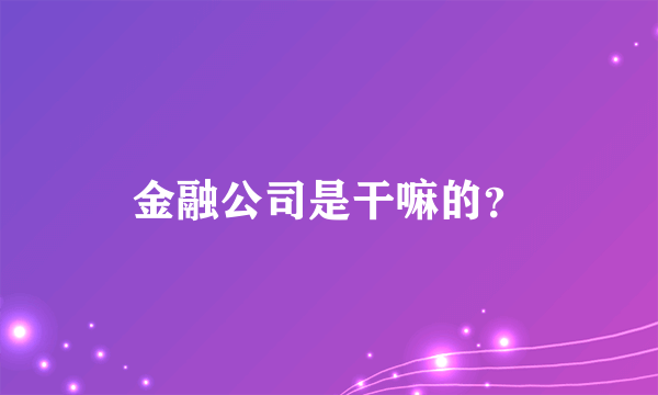 金融公司是干嘛的？