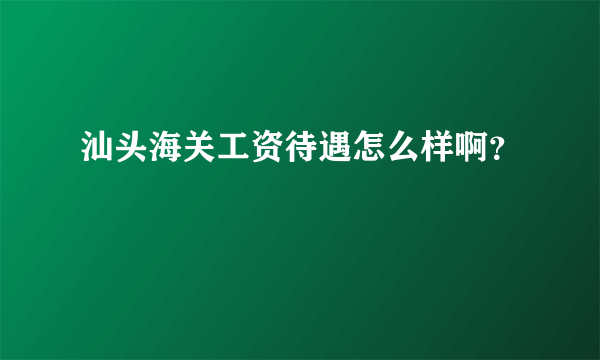 汕头海关工资待遇怎么样啊？