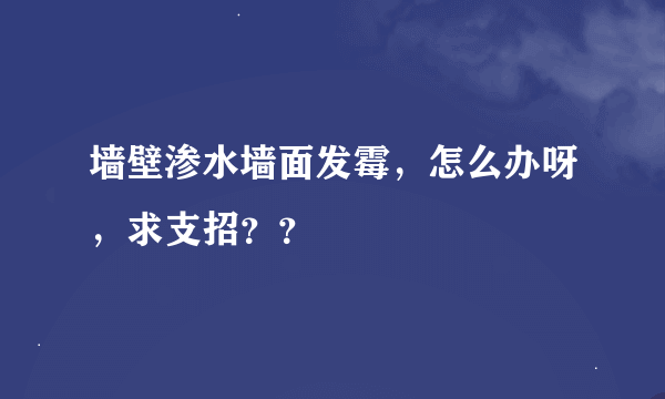 墙壁渗水墙面发霉，怎么办呀，求支招？？