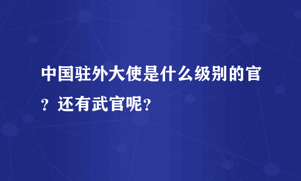 中国驻外大使是什么级别的官？还有武官呢？