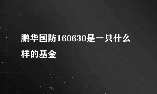 鹏华国防160630是一只什么样的基金