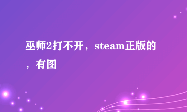 巫师2打不开，steam正版的，有图