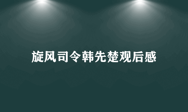 旋风司令韩先楚观后感