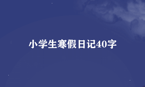 小学生寒假日记40字