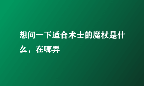 想问一下适合术士的魔杖是什么，在哪弄