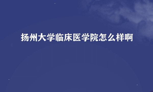 扬州大学临床医学院怎么样啊