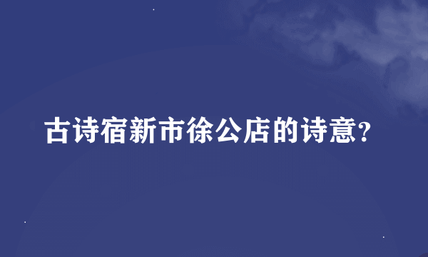 古诗宿新市徐公店的诗意？