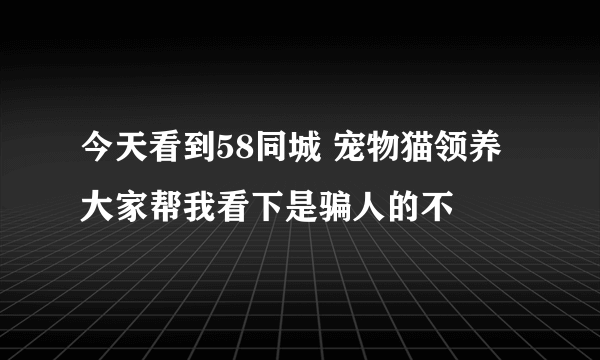 今天看到58同城 宠物猫领养大家帮我看下是骗人的不