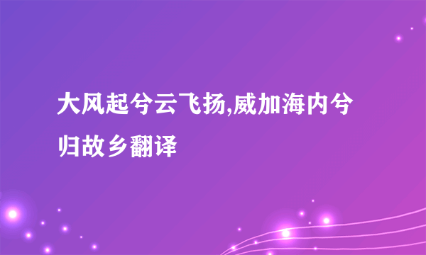 大风起兮云飞扬,威加海内兮归故乡翻译