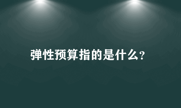 弹性预算指的是什么？