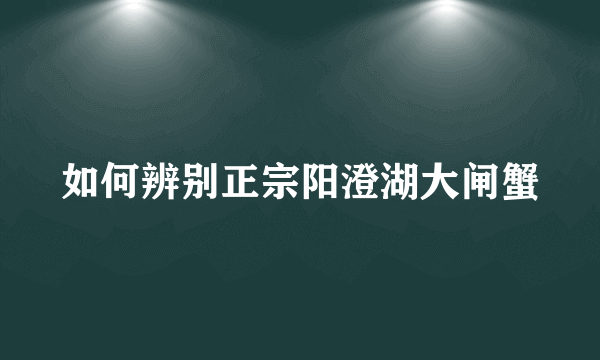 如何辨别正宗阳澄湖大闸蟹