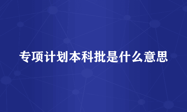 专项计划本科批是什么意思