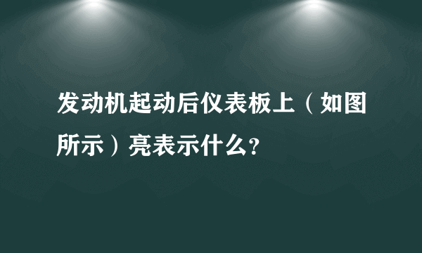 发动机起动后仪表板上（如图所示）亮表示什么？