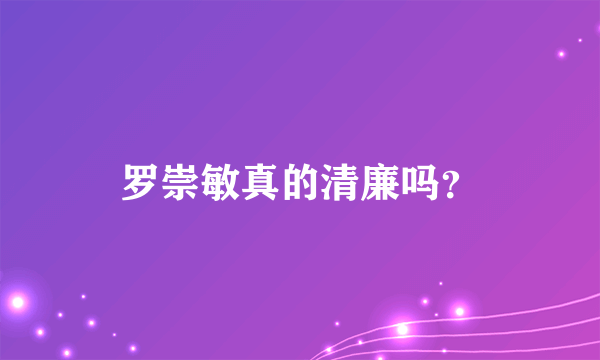 罗崇敏真的清廉吗？