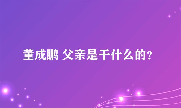 董成鹏 父亲是干什么的？