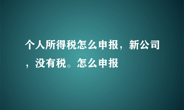 个人所得税怎么申报，新公司，没有税。怎么申报