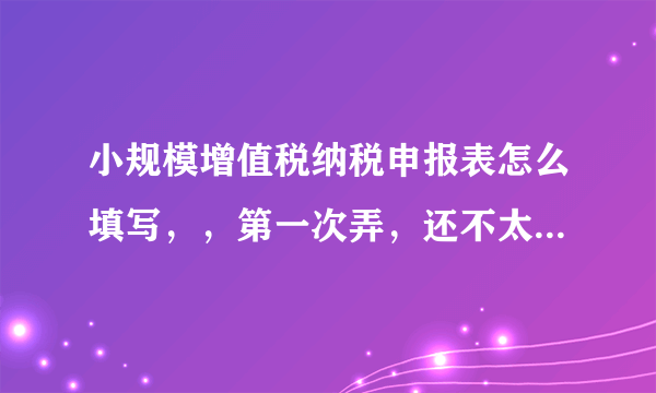 小规模增值税纳税申报表怎么填写，，第一次弄，还不太懂 跪求大神