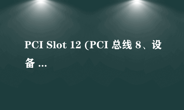 PCI Slot 12 (PCI 总线 8、设备 0、功能 0)这个是什么啊