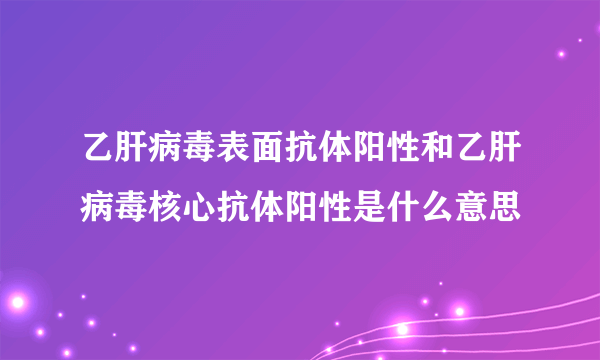 乙肝病毒表面抗体阳性和乙肝病毒核心抗体阳性是什么意思