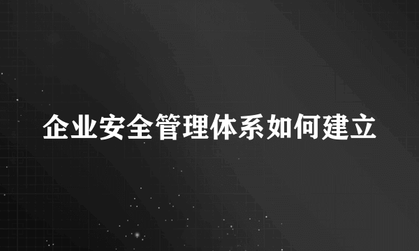 企业安全管理体系如何建立