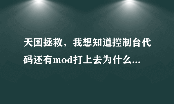 天国拯救，我想知道控制台代码还有mod打上去为什么没用，我是steam正版，控制台我能开出