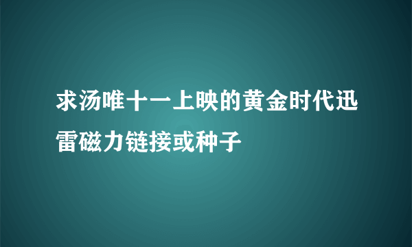 求汤唯十一上映的黄金时代迅雷磁力链接或种子