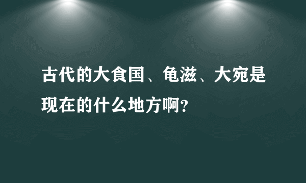 古代的大食国、龟滋、大宛是现在的什么地方啊？