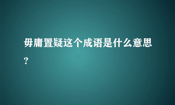 毋庸置疑这个成语是什么意思？