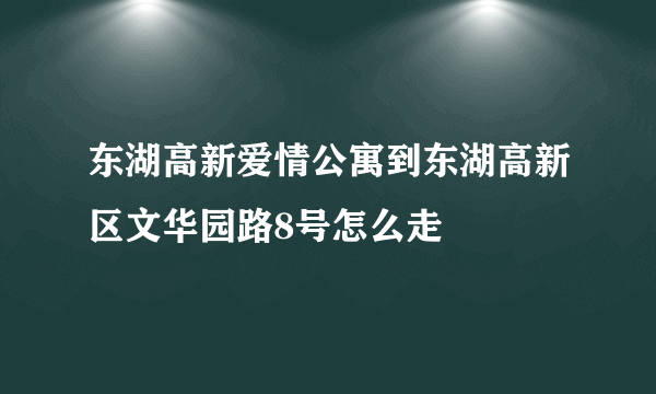 东湖高新爱情公寓到东湖高新区文华园路8号怎么走