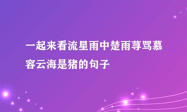 一起来看流星雨中楚雨荨骂慕容云海是猪的句子