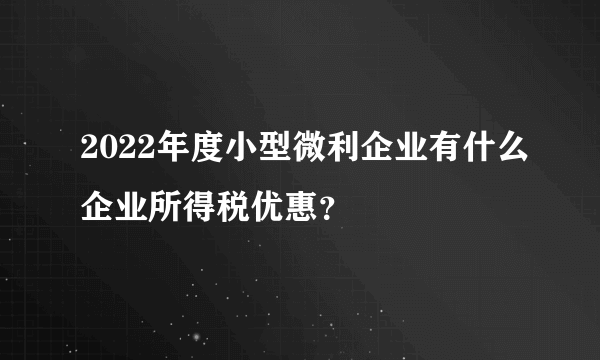 2022年度小型微利企业有什么企业所得税优惠？