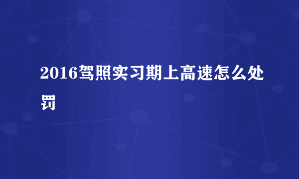 2016驾照实习期上高速怎么处罚