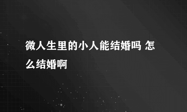 微人生里的小人能结婚吗 怎么结婚啊