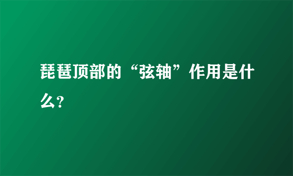 琵琶顶部的“弦轴”作用是什么？