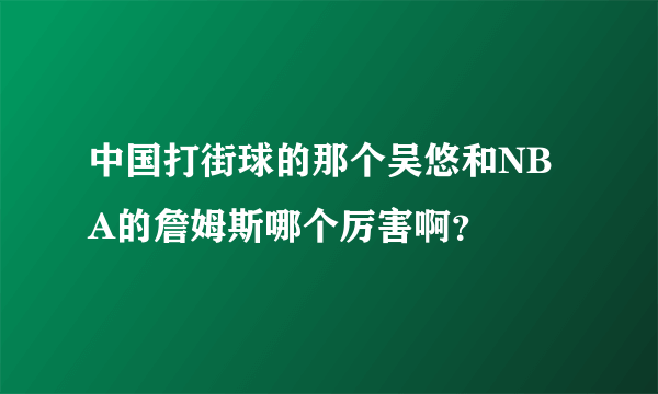 中国打街球的那个吴悠和NBA的詹姆斯哪个厉害啊？