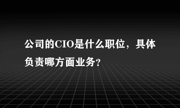 公司的CIO是什么职位，具体负责哪方面业务？