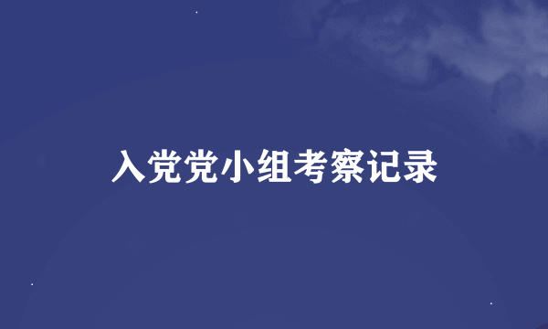 入党党小组考察记录