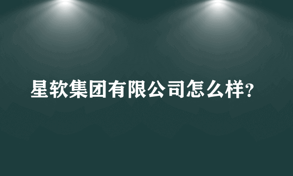 星软集团有限公司怎么样？