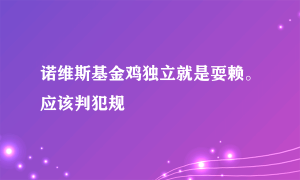 诺维斯基金鸡独立就是耍赖。应该判犯规