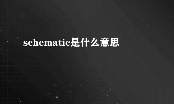 schematic是什么意思