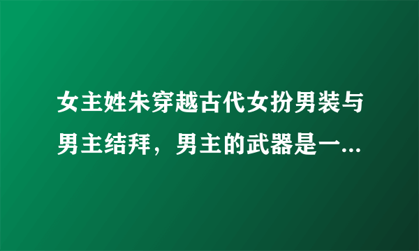 女主姓朱穿越古代女扮男装与男主结拜，男主的武器是一把萧，女主与双