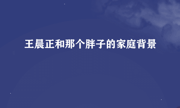 王晨正和那个胖子的家庭背景