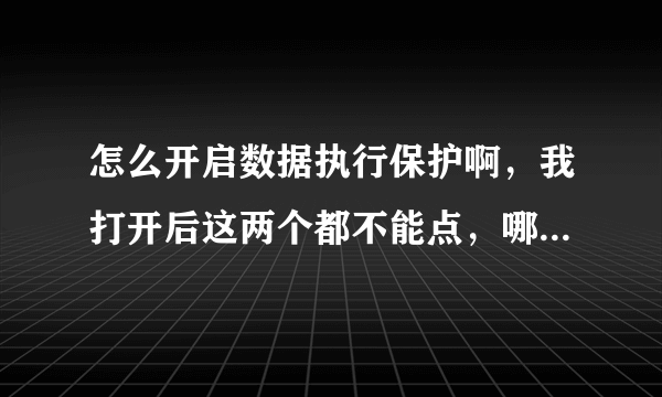 怎么开启数据执行保护啊，我打开后这两个都不能点，哪个电脑大神帮下忙啊，急求！