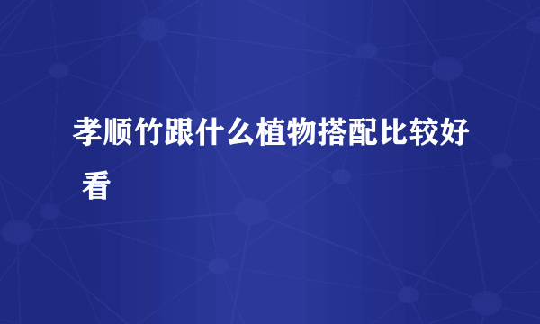 孝顺竹跟什么植物搭配比较好 看