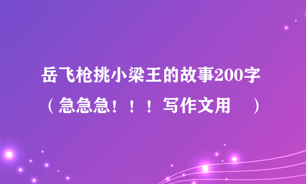 岳飞枪挑小梁王的故事200字（急急急！！！写作文用🙏）